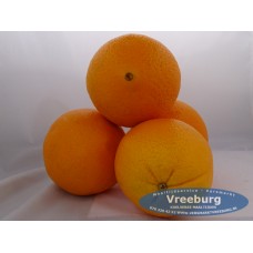 Hand sinaasappel grote navel per stuk